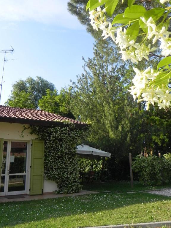 Caterina Residence Faenza Exteriér fotografie