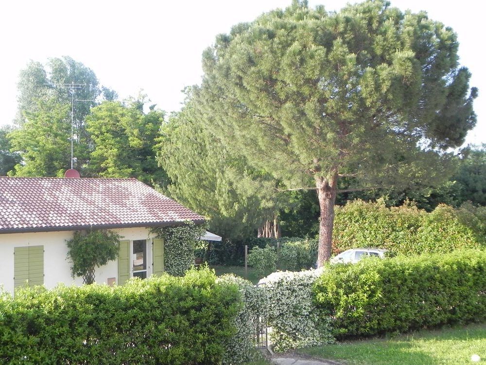 Caterina Residence Faenza Exteriér fotografie
